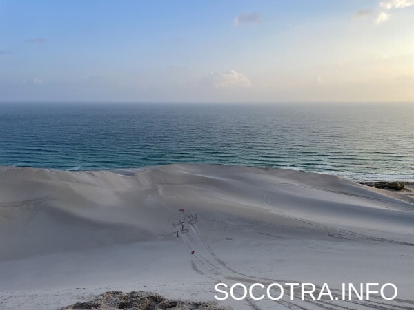 Socotra tour