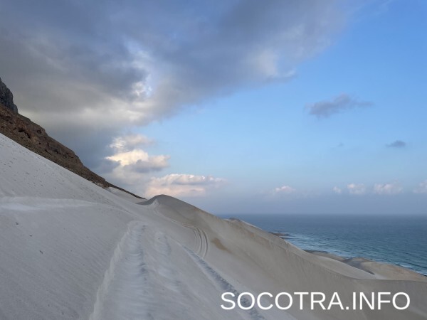 Socotra tour