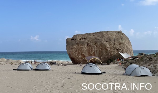 Socotra tour