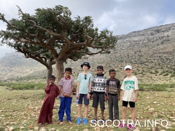 Socotra tour