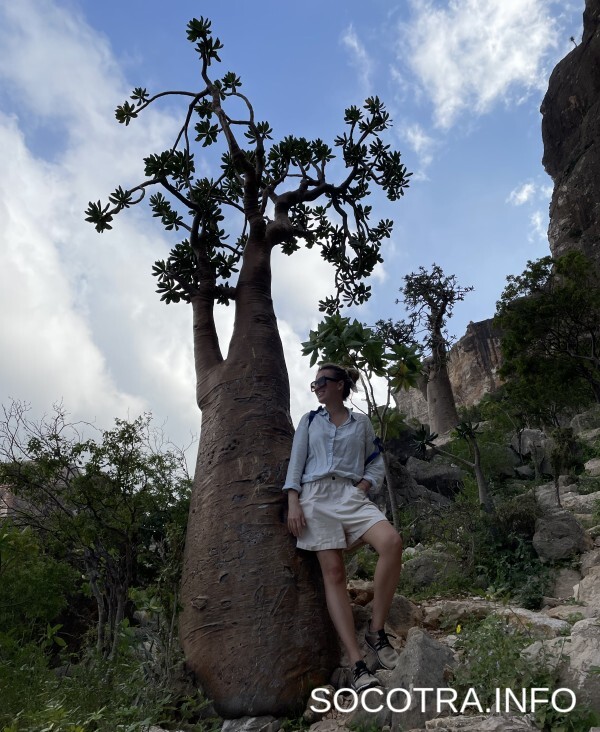 Socotra tour