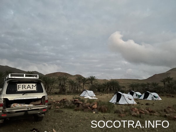 Socotra tour