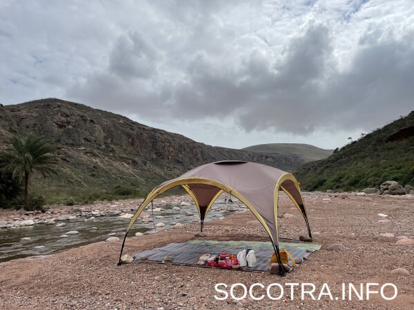 Socotra tour