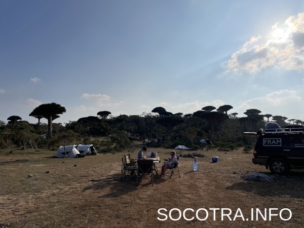 Socotra tour