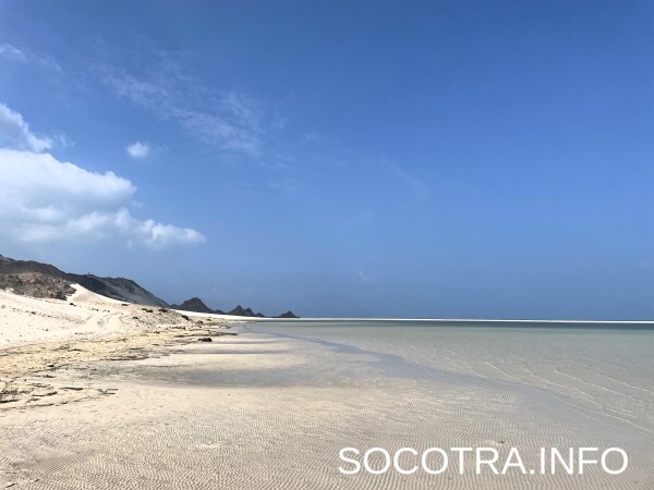 Socotra tour