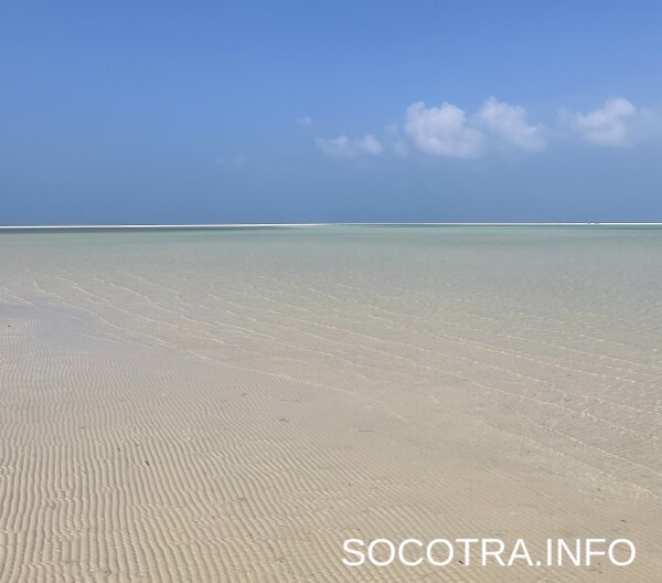 Socotra tour