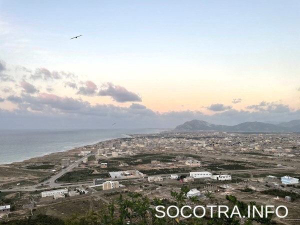 Socotra tour