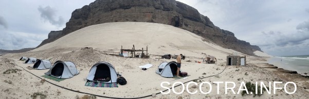 Socotra tour