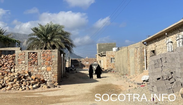 Socotra tour