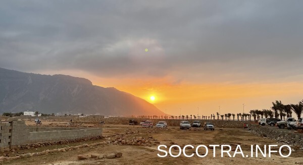 Socotra tour