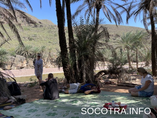 Socotra tour