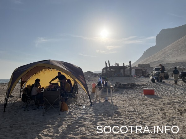 Socotra tour