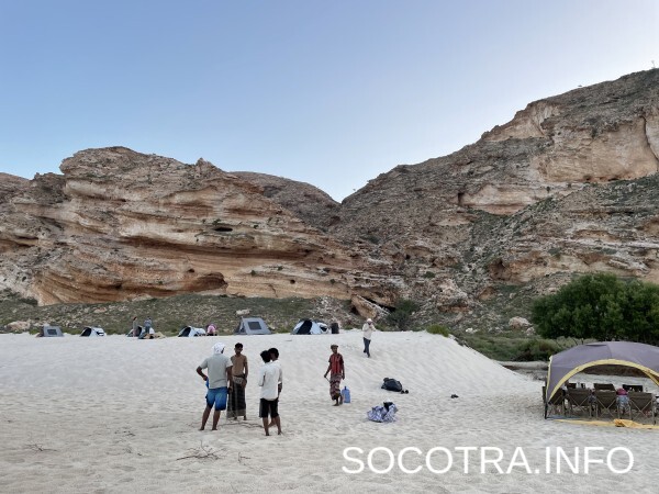 Socotra tour