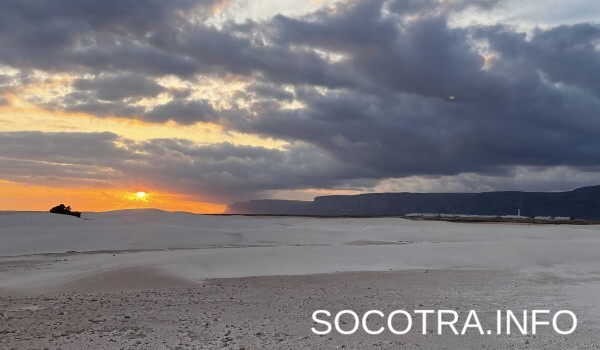 Socotra tour