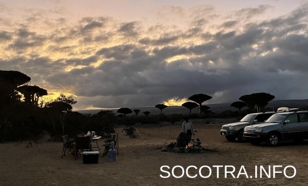 Socotra tour