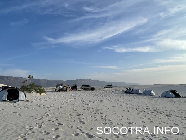 Socotra tour