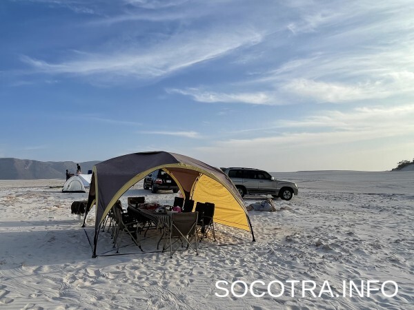 Socotra tour