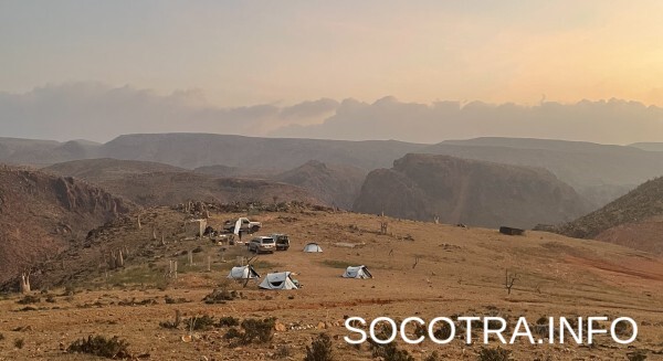 Socotra tour