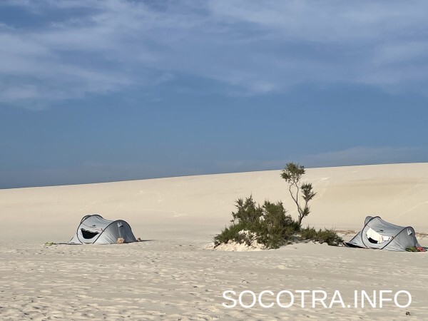 Socotra tour