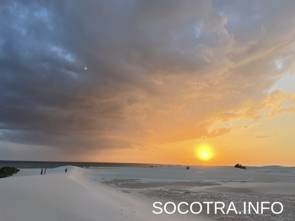 Socotra tour