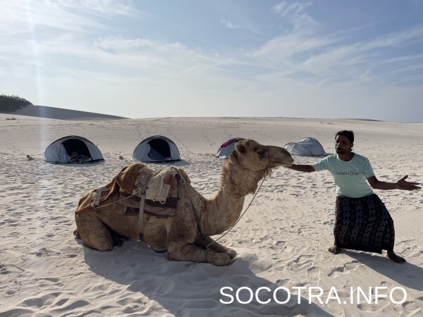 Socotra tour