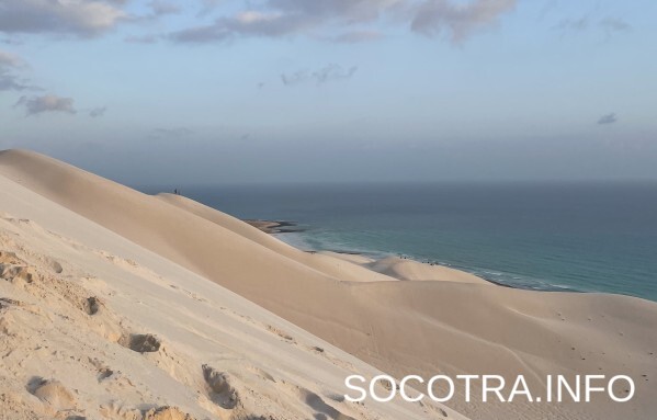 Socotra tour