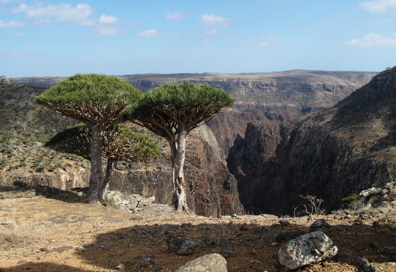 Socotra Picture of the Day: Canyon Wadi Dirhur