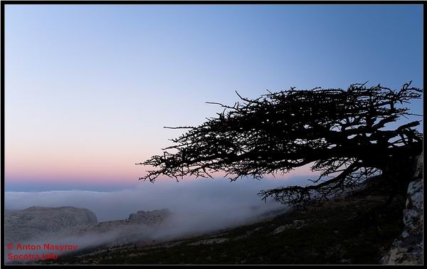 Socotra Picture of the Day: Sunrise in the mountains