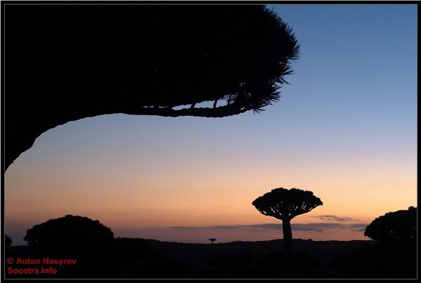 Socotra Picture of the Day: Sunset on the plateau Dixam