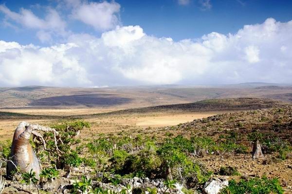 Socotra Picture of the Day: landscape on the plateau Mumi