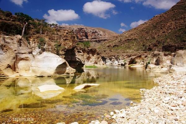 Socotra Picture of the Day: Wadi Kalesan