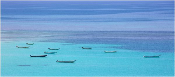 Socotra Picture of the Day: fishing boats