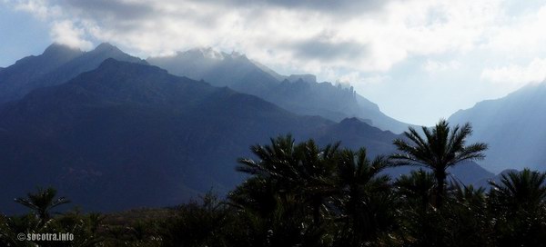 Trekking in Socotra island