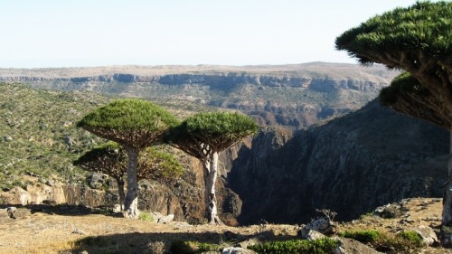 Canyon in Socotra