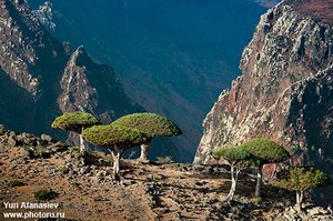 Socotra, Yemen