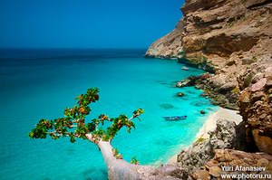 Socotra, Yemen