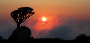 Skant Socotra