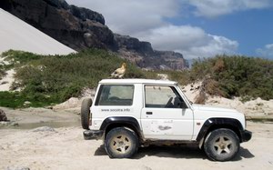Socotra private tour