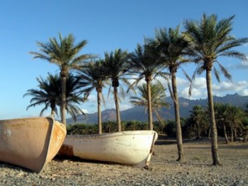 Coast near Hadibo - capital of Socotra