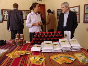 Honey from Socotra