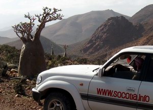 tours to Socotra